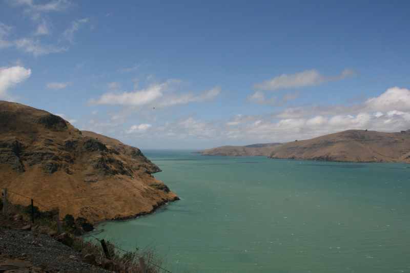 Nieuw-Zeeland 2011 - 2138